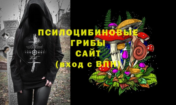 первитин Лагань